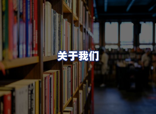 专业团队